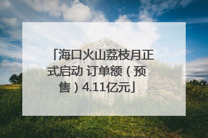 海口火山荔枝月正式启动 订单额（预售）4.11亿元