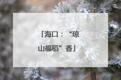 海口：“琼山福稻”香