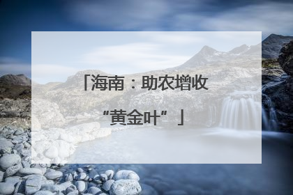 海南：助农增收 “黄金叶”