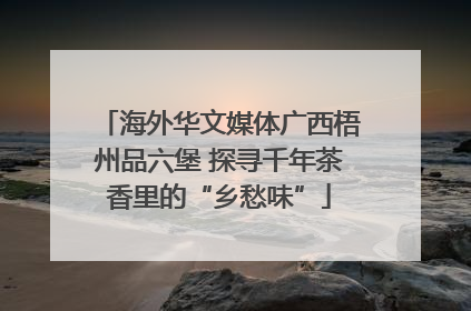 海外华文媒体广西梧州品六堡 探寻千年茶香里的“乡愁味”