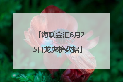 海联金汇6月25日龙虎榜数据