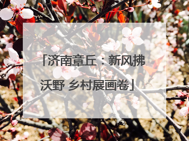 济南章丘：新风拂沃野 乡村展画卷