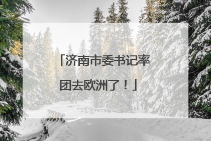 济南市委书记率团去欧洲了！