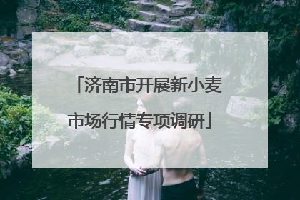 济南市开展新小麦市场行情专项调研