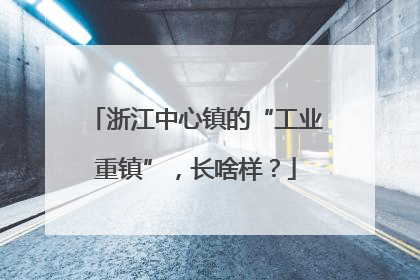 浙江中心镇的“工业重镇”，长啥样？