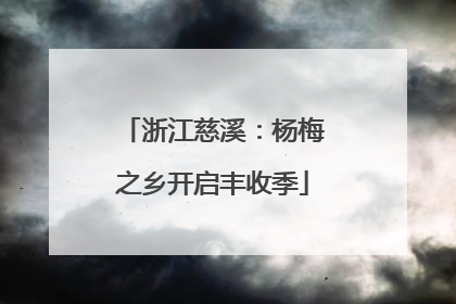 浙江慈溪：杨梅之乡开启丰收季