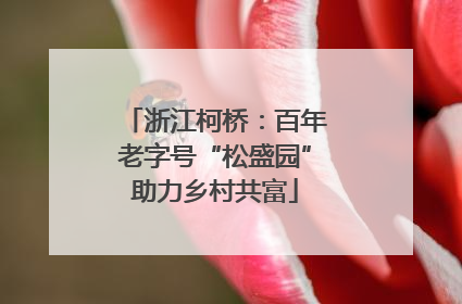 浙江柯桥：百年老字号“松盛园”助力乡村共富
