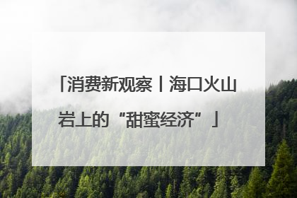 消费新观察丨海口火山岩上的“甜蜜经济”