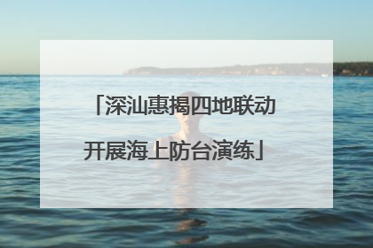 深汕惠揭四地联动开展海上防台演练