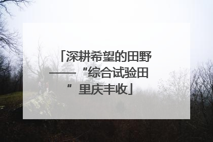 深耕希望的田野——“综合试验田”里庆丰收