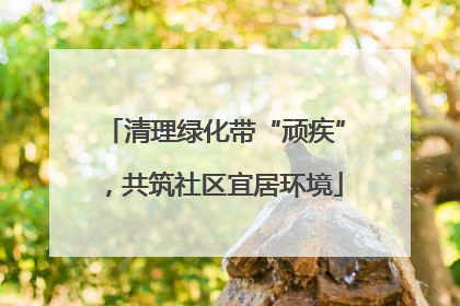 清理绿化带“顽疾”，共筑社区宜居环境