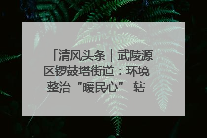 清风头条｜武陵源区锣鼓塔街道：环境整治“暖民心” 辖区面貌“靓”起来