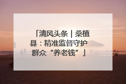 清风头条｜桑植县：精准监督守护群众“养老钱”