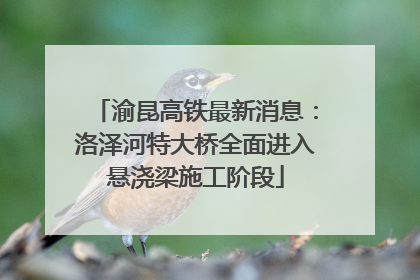 渝昆高铁最新消息：洛泽河特大桥全面进入悬浇梁施工阶段