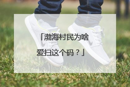 渤海村民为啥爱扫这个码？