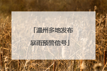 温州多地发布暴雨预警信号
