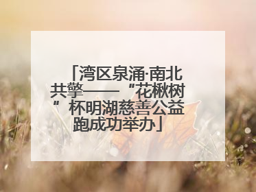 湾区泉涌·南北共擎——“花楸树”杯明湖慈善公益跑成功举办
