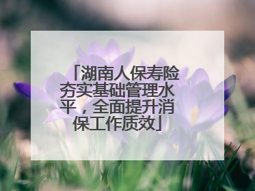 湖南人保寿险夯实基础管理水平，全面提升消保工作质效