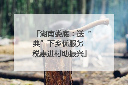 湖南娄底：送“典”下乡优服务 税惠进村助振兴