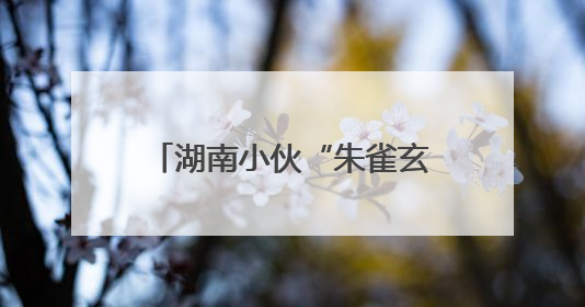 湖南小伙“朱雀玄武敕令”频频改名，申报“周佛紫微星明”未过；律师：不得违背公序良俗