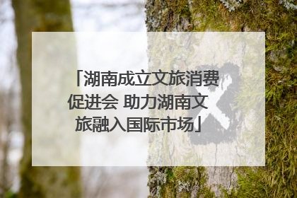 湖南成立文旅消费促进会 助力湖南文旅融入国际市场