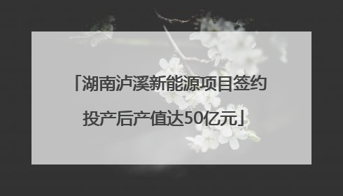 湖南泸溪新能源项目签约 投产后产值达50亿元