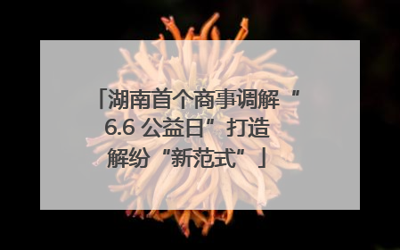 湖南首个商事调解“6.6 公益日”打造解纷“新范式”