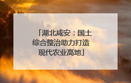 湖北咸安：国土综合整治助力打造现代农业高地