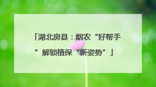 湖北房县：烟农“好帮手”解锁植保“新姿势”