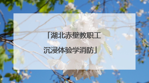 湖北赤壁教职工沉浸体验学消防