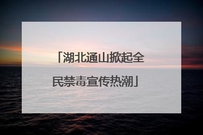 湖北通山掀起全民禁毒宣传热潮