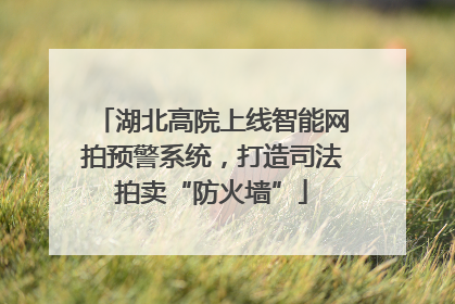 湖北高院上线智能网拍预警系统，打造司法拍卖“防火墙”