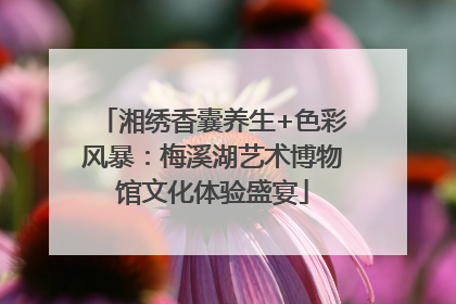 湘绣香囊养生+色彩风暴：梅溪湖艺术博物馆文化体验盛宴