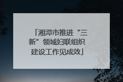 湘潭市推进“三新”领域妇联组织建设工作见成效