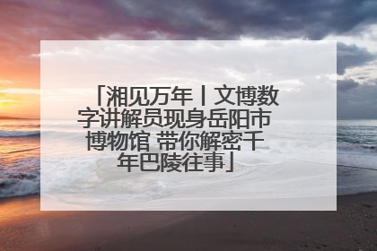 湘见万年丨文博数字讲解员现身岳阳市博物馆 带你解密千年巴陵往事