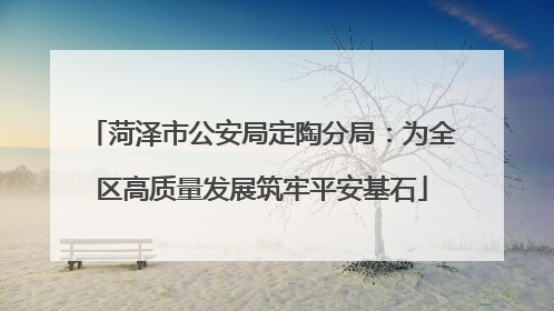 菏泽市公安局定陶分局：为全区高质量发展筑牢平安基石