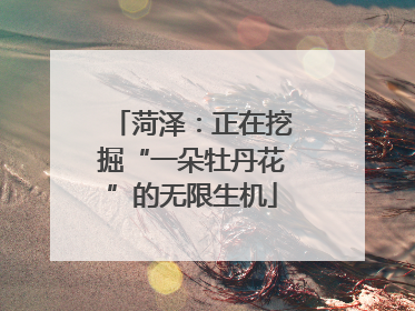 菏泽：正在挖掘“一朵牡丹花”的无限生机