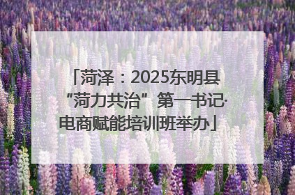 菏泽：2025东明县“菏力共治”第一书记·电商赋能培训班举办