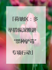 荷塘区：多举措纵深推进“禁种铲毒”专项行动