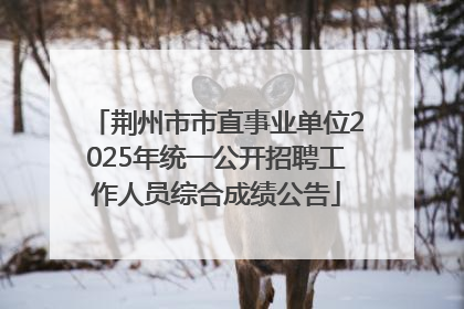 荆州市市直事业单位2025年统一公开招聘工作人员综合成绩公告