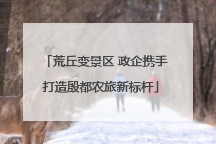 荒丘变景区 政企携手打造殷都农旅新标杆