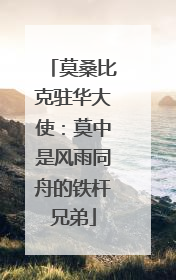 莫桑比克驻华大使：莫中是风雨同舟的铁杆兄弟