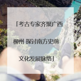 考古专家齐聚广西柳州 探讨南方史前文化发展脉络