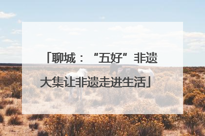 聊城：“五好”非遗大集让非遗走进生活