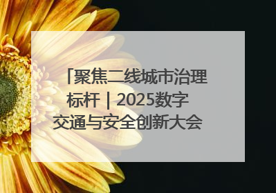 聚焦二线城市治理标杆｜2025数字交通与安全创新大会在保定隆重开幕