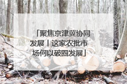 聚焦京津冀协同发展丨这家农批市场何以破圈发展