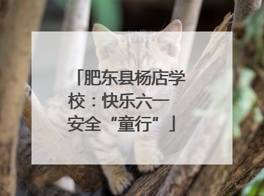 肥东县杨店学校：快乐六一 安全“童行”