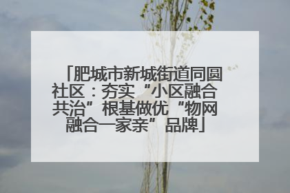 肥城市新城街道同圆社区：夯实“小区融合共治”根基做优“物网融合一家亲”品牌