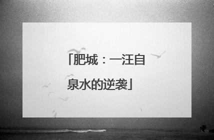肥城：一汪自泉水的逆袭