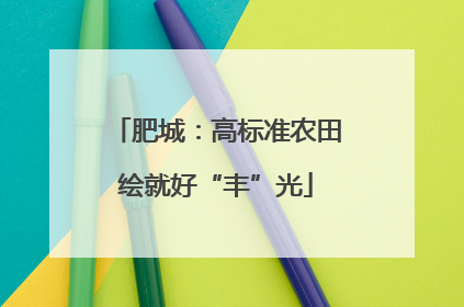 肥城：高标准农田绘就好“丰”光